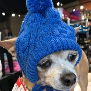 Meet your Posher, Janet